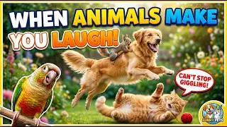 Самые Смешные Видео с Животными 🤣 - Приколы с котами и собаками 2022 года 😺😍