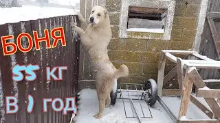 //Я сплю спокойно // Самостоятельная работа 