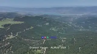 Gölgeli ( Leveke ) ALMUS  2024