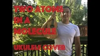 Two Atoms In A Molecule - Ukulele Cover - Noah and the Whale