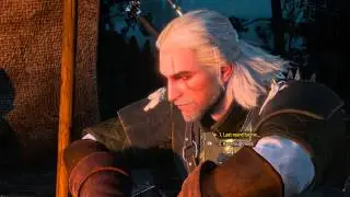 Witcher 3: Novigrad Hospitality