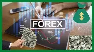 Forex Trading A Beginner’s Guide | broker us