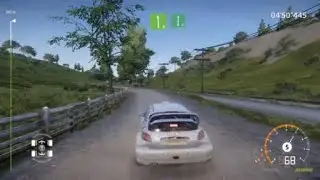 WRC Generations – Peugeot 206 WRC - Rally New Zealand