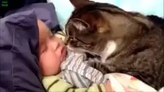Приколы про детей дети с животными