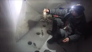 Ночная рыбалка в палатке.  Финский залив. 2022г.
