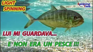 LIGHT SPINNING - QUALCOSA MI HA GUARDATO... E NON ERA UN PESCE !!!