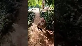Дайвинг в сенотах. Осмотр места погружения.