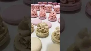 5 марта 2024 г.
