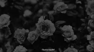 Thin Lizzy- Roisin Dubh (Black Rose)//Sub. Español