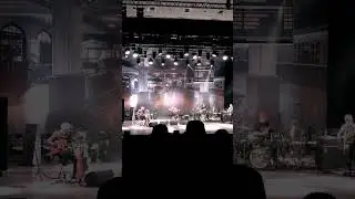 Владимир Шахрин о регги. 22.10.2023