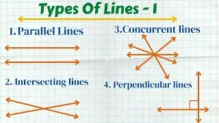 Types Of Lines by Vivan || Part 1 || Parallel || Perpendicular || Intersecting || Concurrent ||
