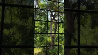 Bye bye RTC Rajgir ❤️🥰/#crpfstatus #crpf  training end🙏💥🥳🇮🇳✅ #shorts