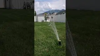 Irrigreen Sprinkler System 3-Month Update 