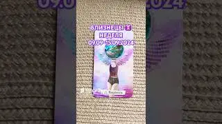 🌺БЛИЗНЕЦЫ♊️НЕДЕЛЯ 09.09-15.09.2024🌺
