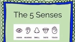 juniors senses|| senses|| five senses worksheets||coloring senses worksheet||#senses