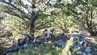 ΜΠΕΚΑΤΣΕΣ ΣΤΟ ΤΕΛΟΣ ΤΟΥ ΦΛΕΒΑΡΗ ...