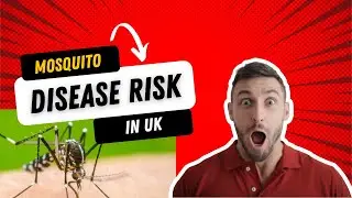 Dengue is spreading in Europe.  Dengue worldwide overview - ECDC - European Union