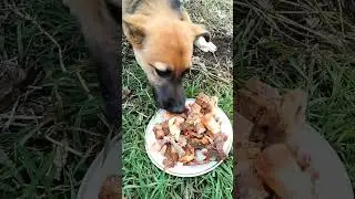 Кушаем!#видео#shorts
