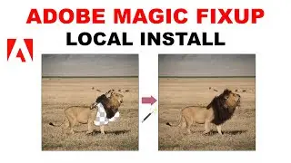 Install Adobe Magic Fixup Locally on Windows