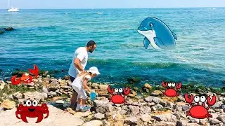 Ева и ПАПА  РЕШИЛИ НАЛОВИТЬ КРАБИКОВ на МОРЕ!