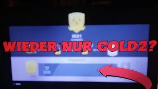 Der Beginn der verschwitzten Zeit🔥...+Teambewertung🌊😱 /IAM EACKZ