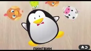 Учим вместе - Пингвин