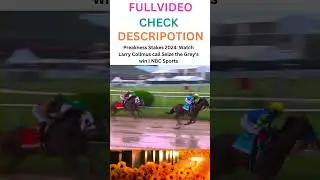 Preakness Stakes 2024: Watch Larry Collmus call Seize the Grey's win | NBC Sports