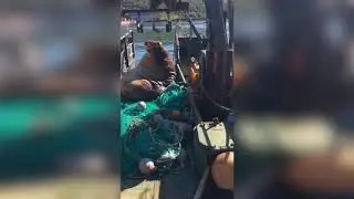 Рыбалка, случаи бывают разные