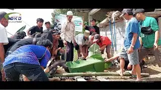 SAFARI QURBAN SYAFAAT LAZ DKD TAHUN 2022