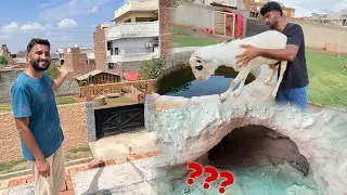 Old Mini Se New Mini Zoo Ko Dekha Bht Piara Lg Rha hai😍