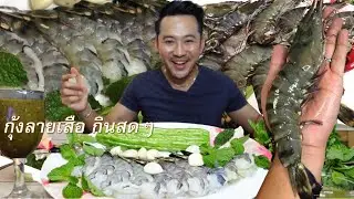 กิน กับ กี้ : กุ้งลายเสือตัวเท่าผ่ามือ 1 กิโล กินสดๆ น้ำจิ้มซีฟุ๊ดพริก100เม็ด เผ็ดตายไม่เอาเรื่อง