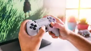 Nintendo Switch + PS4 Controller
