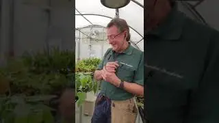 How to Bring Plants into Australia - Paradise Distributors International Quarantine Igloo