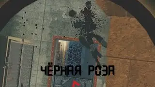 Чёрная Роза / Rainbow Six Siege