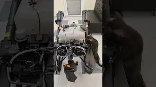 Dji Agras T30 после прошивки - труп 