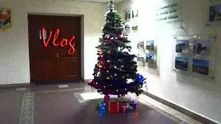 Минск: поход в администрацию / Влог: снова снимаю видео