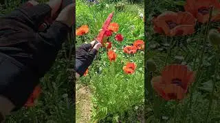 Анимация деревянного охотничего ножа из "Cs 2" в реальной жизни!