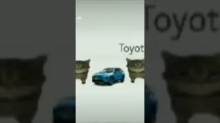 YouTube didn't allow me to put the whole thing inside so here is a cat #fypシ #fypシ゚viral #trend #fun