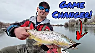 CRAZY Brown Trout Bite On This JERK BAIT!!