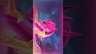 best ninja