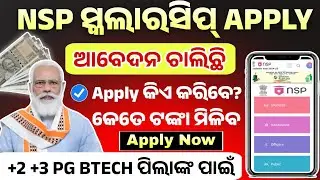 National Scholarship 2024-25। Nsp Scholarship Eligibility, Guideline, Last Date। Apply Online Now।
