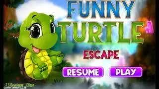Funny Turtle Escape Walkthrough