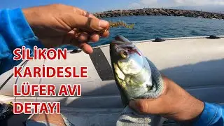 LÜFER AVINDA SİLİKON KARİDES FIRTINASI