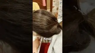 На голове жены завелись гости😍😁 автор: archi2354