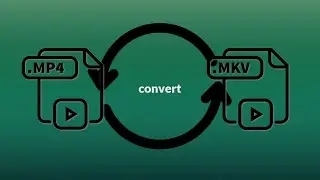The Best Way to Convert MP4 to MKV