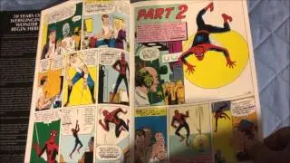 Amazing Spider-Man Vol 1 Omnibus Review