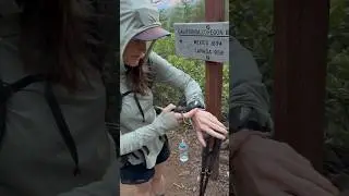 Starting my women’s unsupported fastest known time attempt of the Oregon PCT!