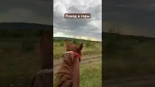 19 августа 2023 г.