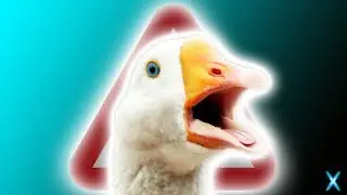 If I honk, the video ends - Untitled Goose Game
