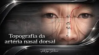 Topografia da artéria nasal dorsal
